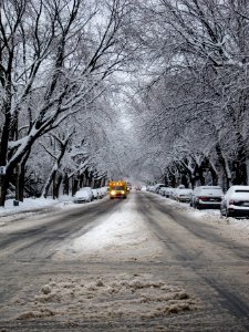 Avenue de lorimier, Montr al, Canada photo