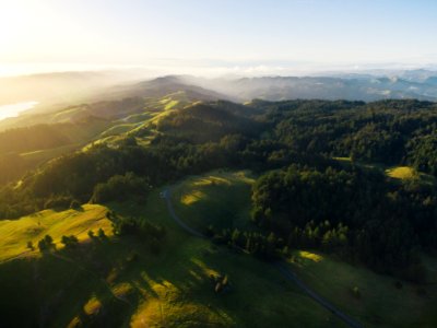 aerial photography of green mountains covered with green trees at daytime photo