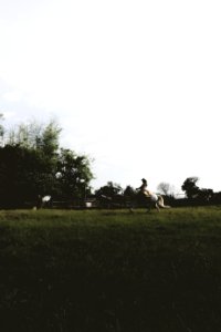 Fields, People, Shadows