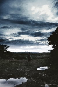 Clouds, Surreal, Forest