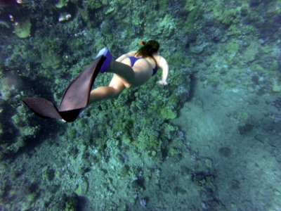 woman snorkeling under water photo