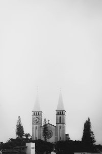 Edu lauton, Fog, White