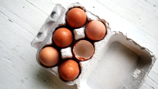 five whole eggs and one empty half-open egg inside open egg tray photo