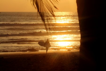 person carrying surfboard while walking on seashore during golden hour photo