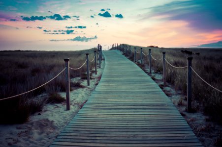 brown wooden plank pathway under cloudy skies photo