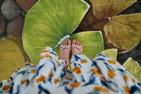 person standing on leaf painting flooring photo