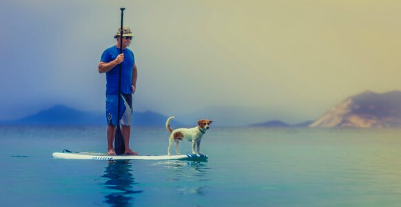 Paddle person pet photo