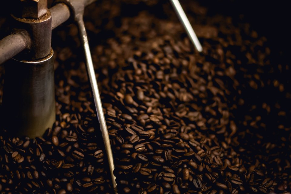 coffee beans photo