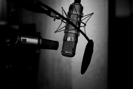 grayscale photography of condenser microphone with pop filter