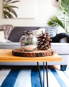 clear fishbowl beside pine cones on brown wooden table photo