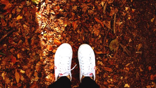 person standing on dried leaves photo