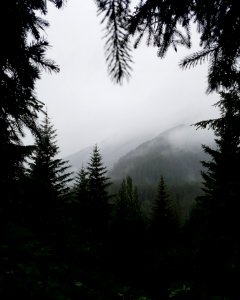 mountain covered with fogs photo