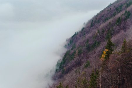 foggy mountain at daytime photo