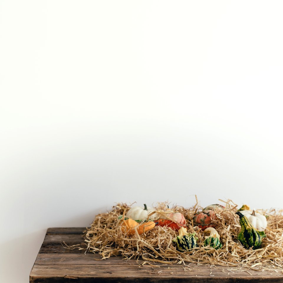 white and yellow vegetable decors