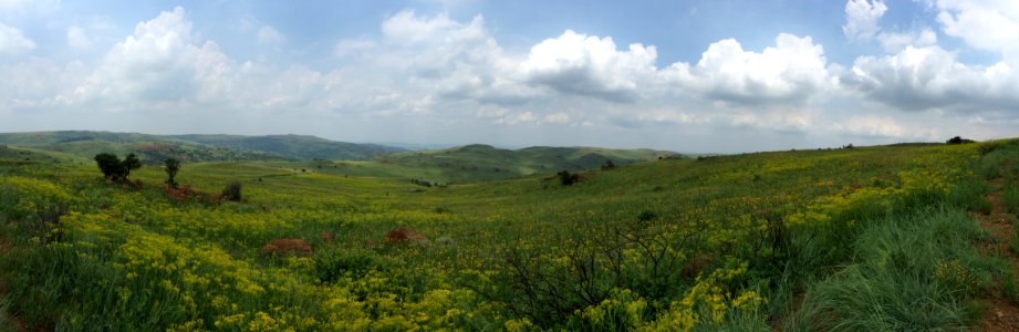 Sedibeng, South africa, Suikerbos r photo