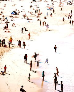 people on beach during daytime photo