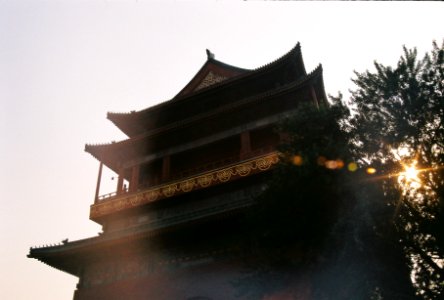 low angle photo of tree beside pagoda temple photo