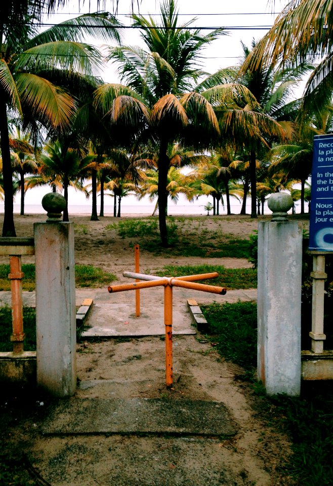 Honduras, Palm tree, Gate