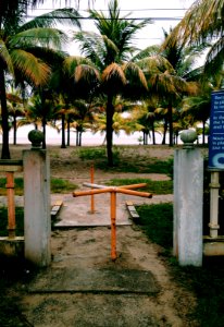 Honduras, Palm tree, Gate