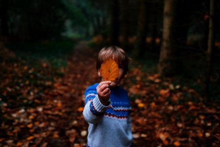 boy holding brown leaf covering his face photo
