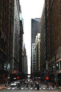 people crossing road during daytime photo