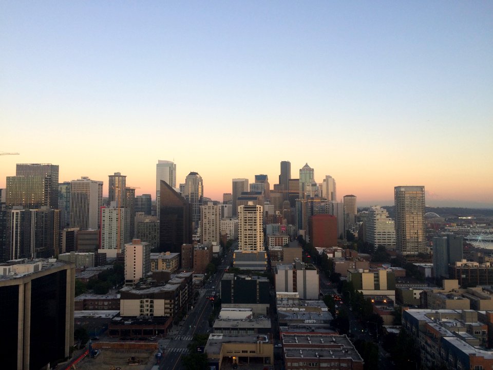 aerial photography of city buildings