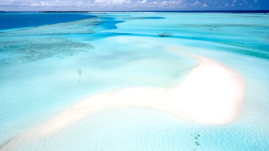 beach shore beside body of water