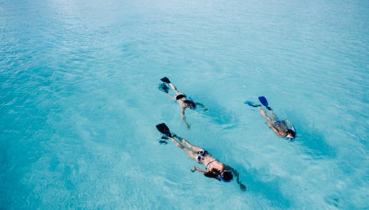 three person swimming on body of water