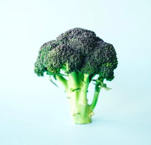 green broccoli photo