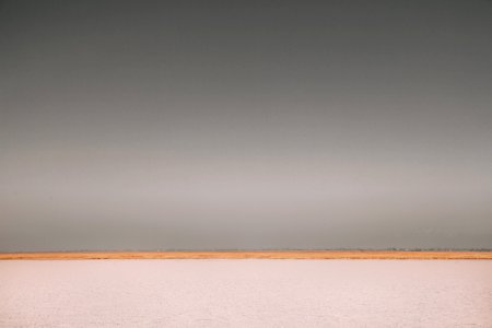 Grey, Antelope Island, Pattern