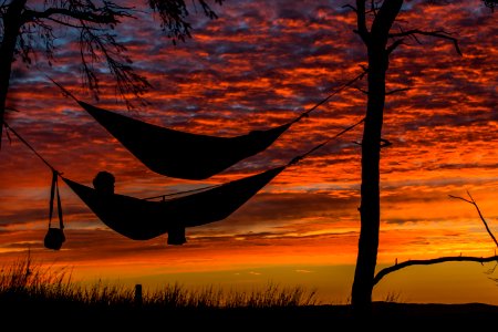 person lying on hammock photo