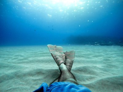 person wearing flippers diving on sea photo