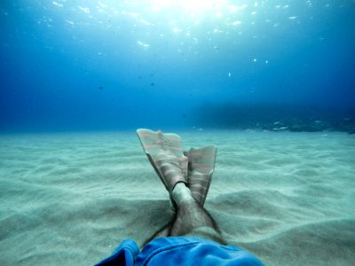 person wearing flippers diving on sea