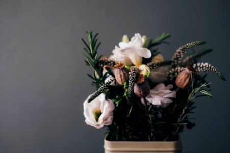 white petal flowers in gray pot in room