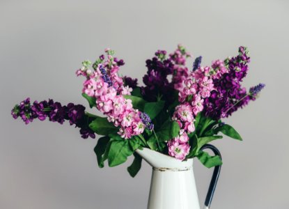 photo of pink and purple petaled flowers with white ceramic vase photo