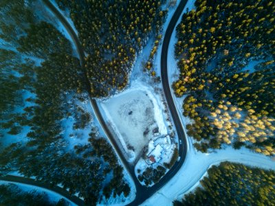 aerial photography of road surrounded by trees photo