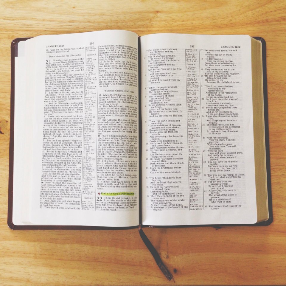Reading, Read, Wood