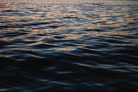 photograph of body of water