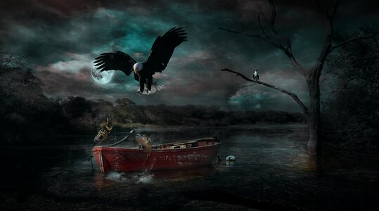 Fantasy nature boat