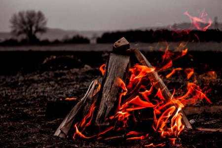 brown bonfire on gray field