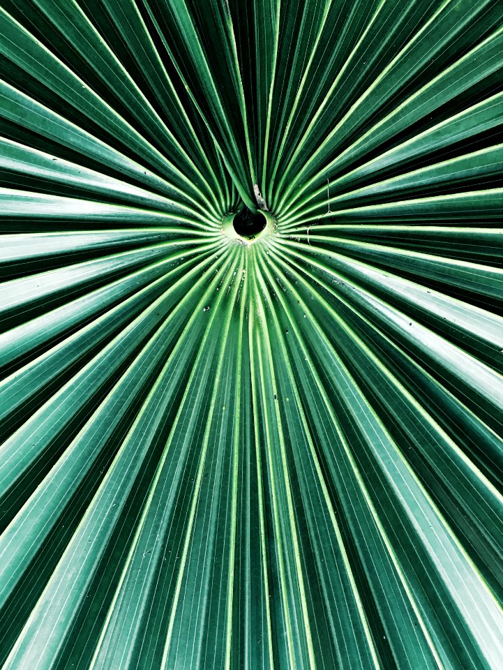 Quintana roo, Mexico, Minimal