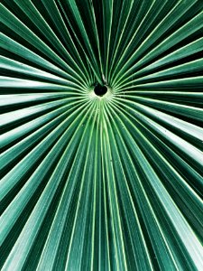 Quintana roo, Mexico, Minimal
