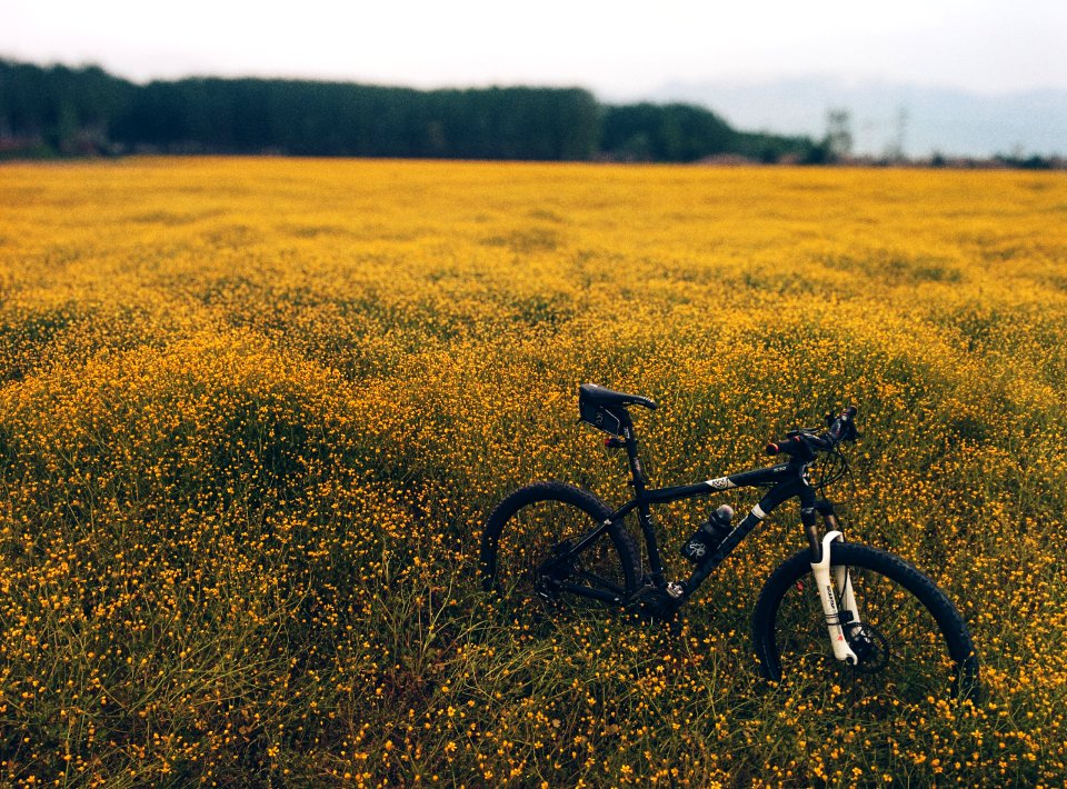 black and white hard-tail mountain bike during daytime