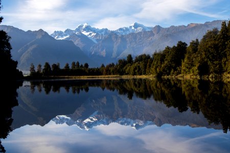 Lake matheson, New Zealand, Forest