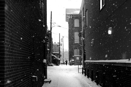 alley surrounded by snow photo