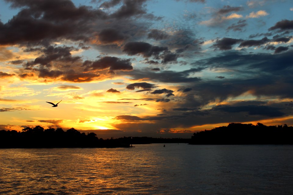 Sunset, Harbor, Sydney