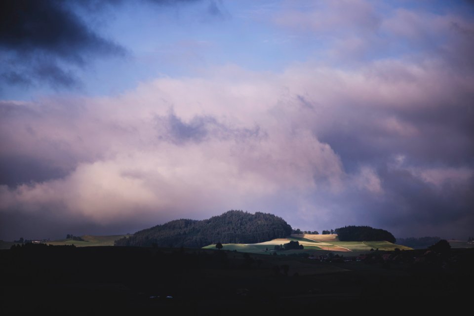 forest on hill under cloudy sky photo