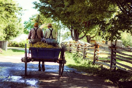 two person riding horse with carriage photo