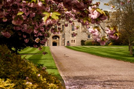 empty pathway to castle