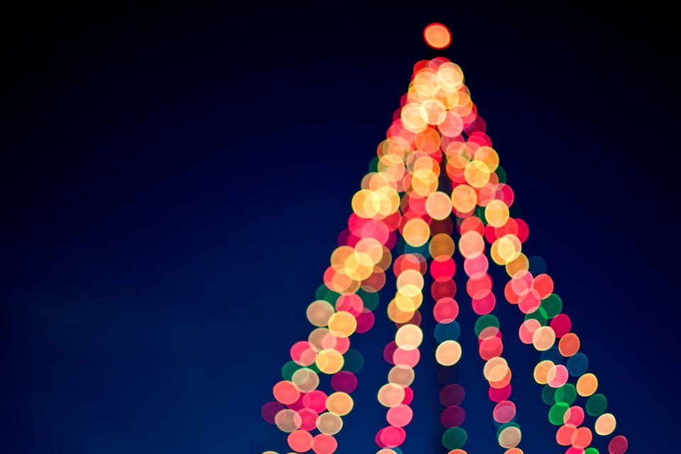multicolored bokeh lights